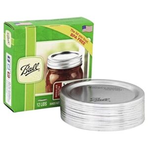 Ball Regular Mouth Mason Glass Jar Lids (24-Count), Silver