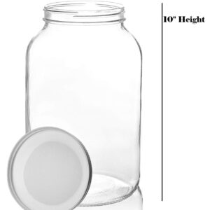 kitchentoolz 1 Gallon Glass Jar with Lid Wide Mouth Large Mason, Leak Proof Airtight Metal Lid for Fermenting Kombucha Kefir Kimchi, Canning, Egg Water Glassing, & Preserving Pack of 2