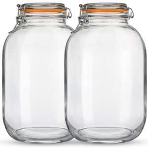 qianfenie glass jars with airtight lids, 2 pack - 1 gallon wide mouth storage mason jars with hinged with 1 replacement silicone gaskets for fermenting, canning, preserving