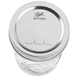 Ball Regular Mouth Pint 16-oz Mason Jars with Lid and Band (1-Pack)