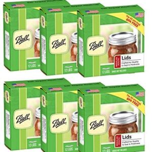 Ball Glass Regular Mouth Jar Lids (6 Pack)