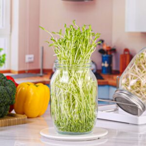 Sprouting Jar Kit 2Pcs Large Wide Mouth Mason Jars With Screen Sprout Lid,Sprouting Jar Stand,Tray,Blackout Sleeves,Brush-Seed Sprouting Kit For Growing Mung beans,Broccoli And So On