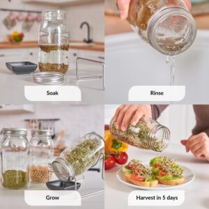 2 Pack Seed Sprouting Jar Lids | For 2.75" Regular Mouth Mason Jars | Fresh Sprouts at Home | Strainer Screen for Canning Jars | 304 Stainless Steel Lid for Growing Broccoli, Alfalfa, Beans & More