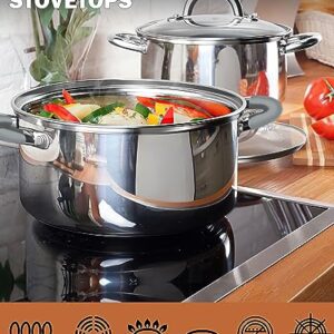 Cook N Home Stainless Cookware Sets Basic Pots and Pans, 12-Piece, Stainless Steel Grey Silicone Handle