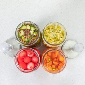 Jillmo Stainless Steel Fermentation Lids with Glass Weights for Wide Mouth Mason Jars (Jars Not Included)