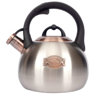 3.1 quart teal whistling tea kettle for stove top, food grade stainless steel