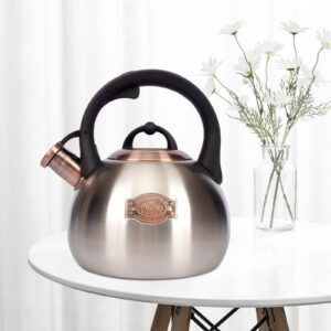 3.1 Quart Teal Whistling Tea Kettle for Stove Top, Food Grade Stainless Steel