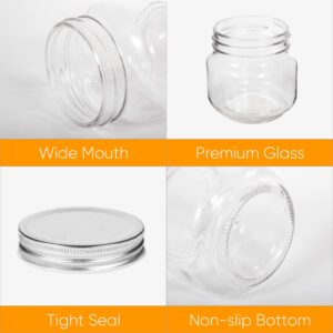 Accguan Mason Jars, glass jar 8OZ With Regular Lids and Bands(Silver), Ideal for Jam,Honey,Wedding Favors,Shower Favors, 24 PACK