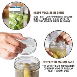 Masontops Pickle Pebble Glass Infinity Weights for Fermenting - Pickling Weight Set - Wide Mouth Mason Jar Fermentation