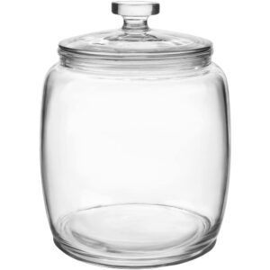 daitouge 2.5 gallon glass jars with lids, large cookie jars with big opening, 1 pack food storage canister for kitchen, great for storage flour, rice, sugar, pasta, candy