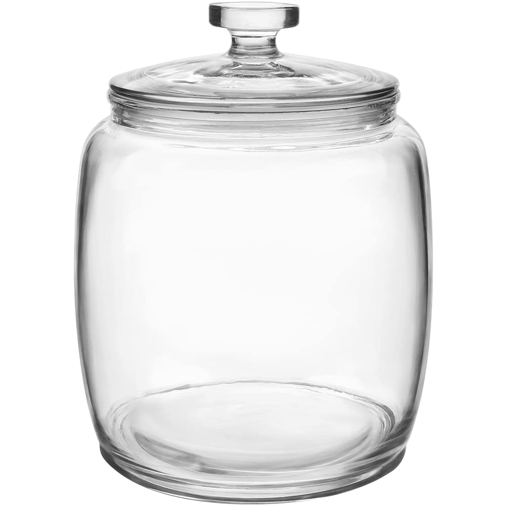 Daitouge 2.5 Gallon Glass Jars with Lids, Large Cookie Jars with Big Opening, 1 Pack Food Storage Canister for Kitchen, Great for Storage Flour, Rice, Sugar, Pasta, Candy