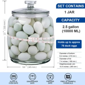 Daitouge 2.5 Gallon Glass Jars with Lids, Large Cookie Jars with Big Opening, 1 Pack Food Storage Canister for Kitchen, Great for Storage Flour, Rice, Sugar, Pasta, Candy