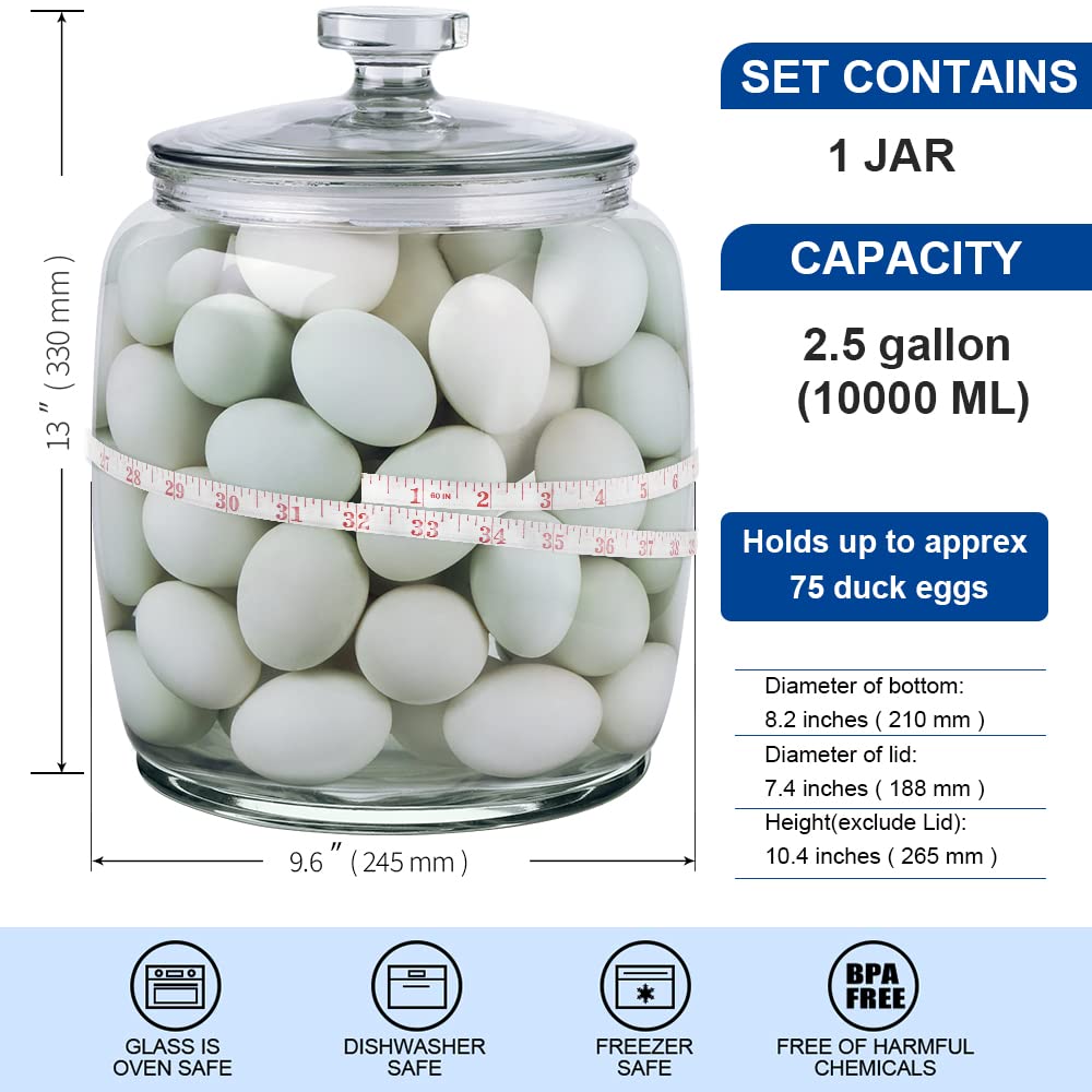 Daitouge 2.5 Gallon Glass Jars with Lids, Large Cookie Jars with Big Opening, 1 Pack Food Storage Canister for Kitchen, Great for Storage Flour, Rice, Sugar, Pasta, Candy