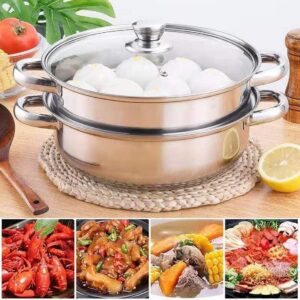 Stainless Steel Stack and Steam Pot Set - and Lid,Steamer Saucepot double boiler-2 Tier Steamer Pot Steaming Cookware -Steamer Pot Glass Lid Food Veg Cooker Pot Cooking Pan For Kitcken Cooking Tool