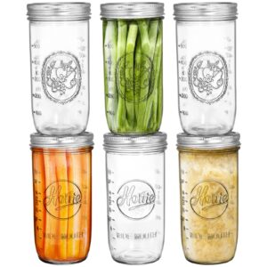 tebery 6 pack wide mouth home glass mason jars with airtight lids and bands, 24-ounce canning glass jars for canning, fermenting, pickling, meal prep, overnight oats, jam, jelly