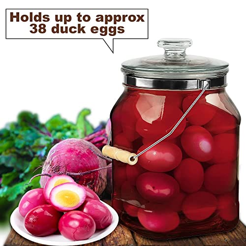 Daitouge 1.3 Gallon Wide Mouth Glass Jars with Lids, Heavy Duty Glass Canisters with Lids, Canning Jars with Removable & Rotatable Wooden Handle, 1 Pack