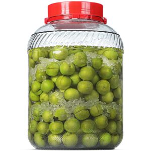 daitouge ulrta large 4 gallon(15200 ml) glass jar with lid & handle, wide mouth canning jars with plastic screw lids, glass storage jars bpa free & dishwasher safe, 1 pack