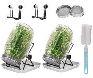 lulonpon 2 sprouting jar kit, wide mouth quart mason jars with stainless steel screen sprout lids, 86mm,1000ml,stand,tray and canning brush,seed sprouter set for growing broccoli, alfalfa, mung bean