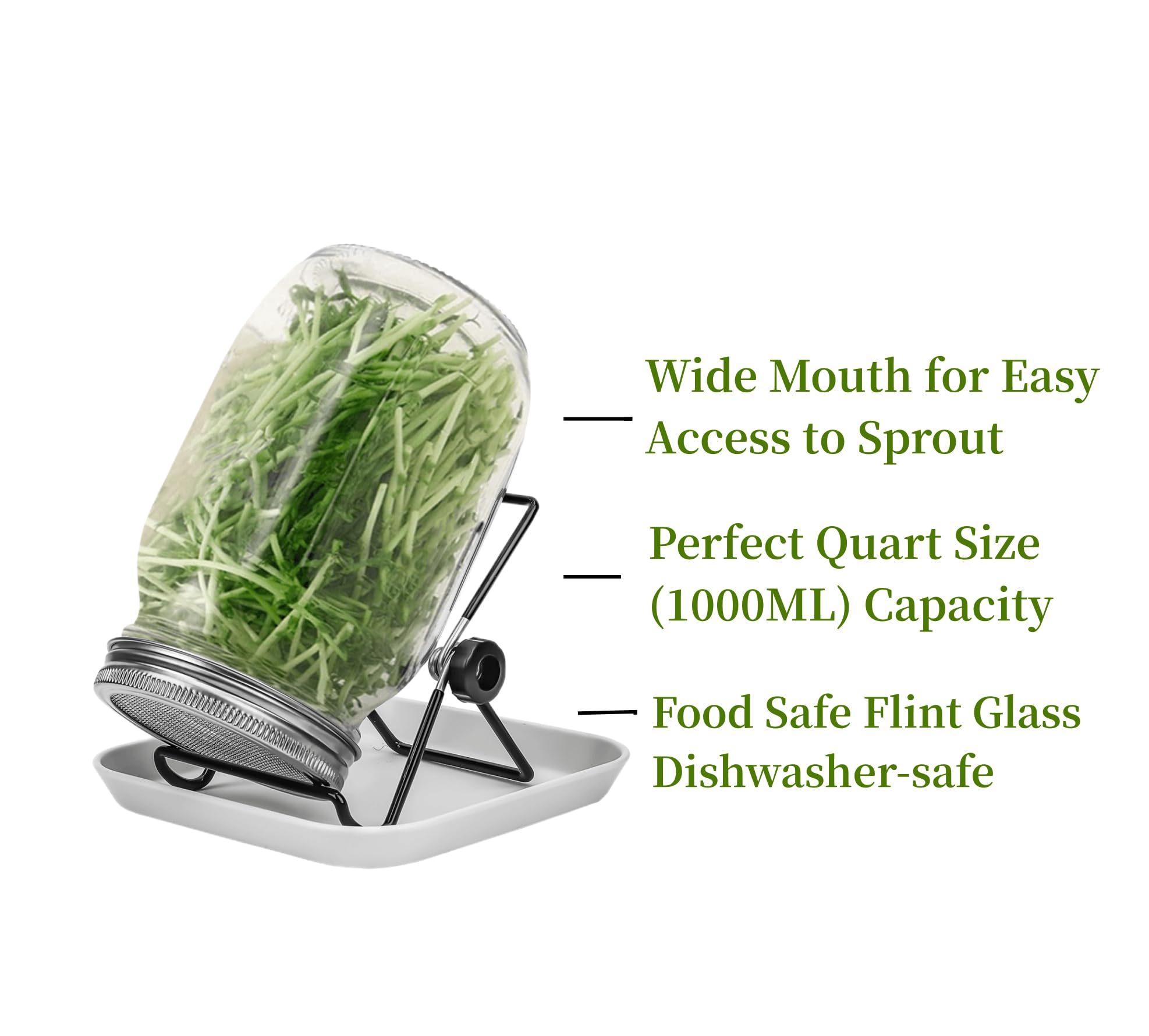 Lulonpon 2 Sprouting Jar Kit, Wide Mouth Quart Mason Jars with Stainless Steel Screen Sprout Lids, 86mm,1000ml,Stand,Tray and Canning Brush,Seed Sprouter Set for Growing Broccoli, Alfalfa, Mung Bean