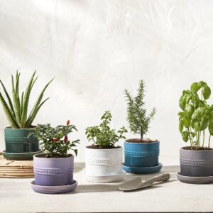 Le Creuset Stoneware Herb Planter, 5.5 Inches, Artichaut