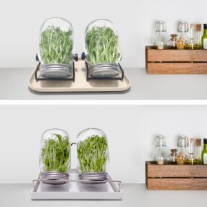 Byazya Sprouting Jar Kit - 4PCS Stainless Steel Screen Sprouting Lids, Tray, 2 Sprouting Jar Stand, for Regular and Wide Mouth Mason Jars (Jars NOT Included) - Growing Broccoli, Alfalfa, Mung Bean