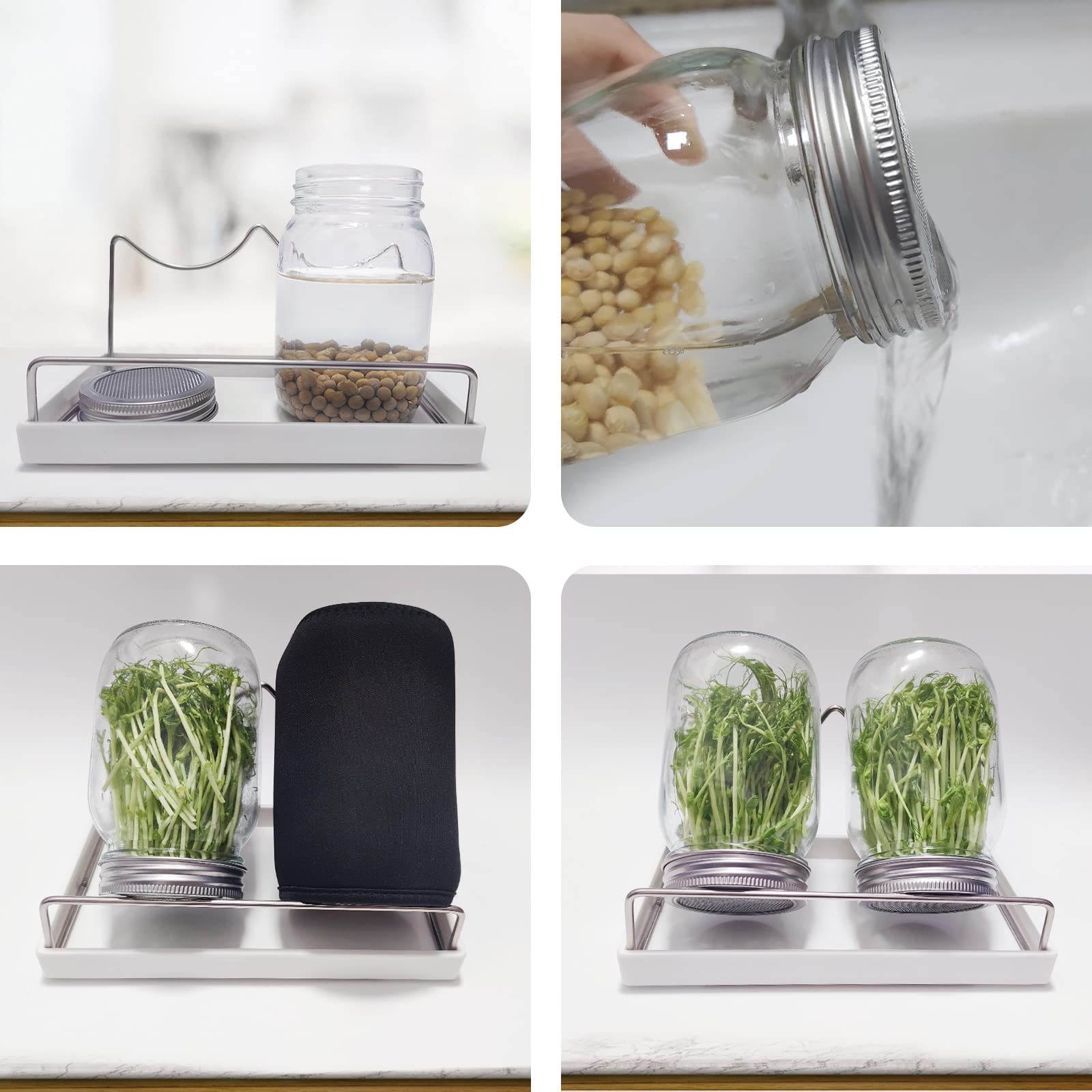 Byazya Sprouting Jar Kit - 4PCS Stainless Steel Screen Sprouting Lids, Tray, 2 Sprouting Jar Stand, for Regular and Wide Mouth Mason Jars (Jars NOT Included) - Growing Broccoli, Alfalfa, Mung Bean