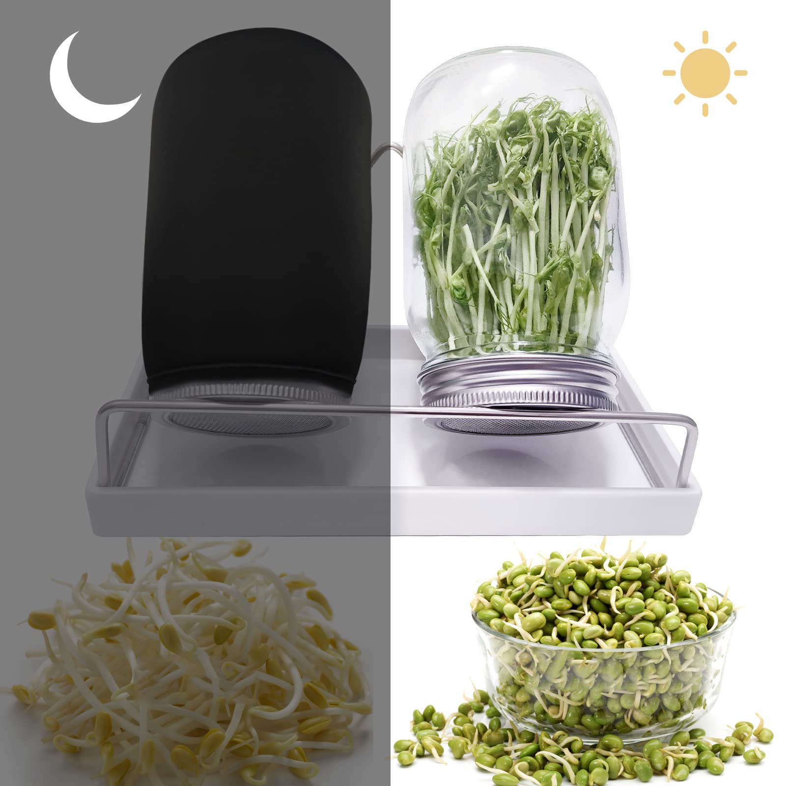 Byazya Sprouting Jar Kit - 4PCS Stainless Steel Screen Sprouting Lids, Tray, 2 Sprouting Jar Stand, for Regular and Wide Mouth Mason Jars (Jars NOT Included) - Growing Broccoli, Alfalfa, Mung Bean