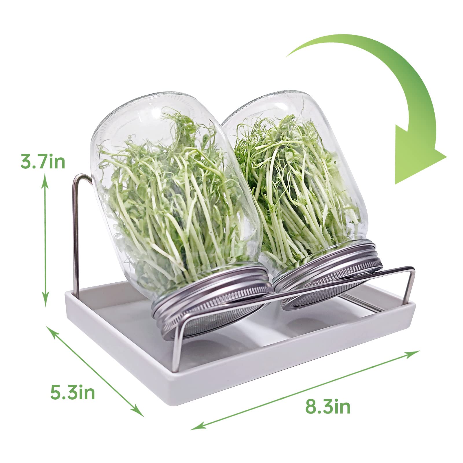 Byazya Sprouting Jar Kit - 4PCS Stainless Steel Screen Sprouting Lids, Tray, 2 Sprouting Jar Stand, for Regular and Wide Mouth Mason Jars (Jars NOT Included) - Growing Broccoli, Alfalfa, Mung Bean