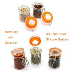 Homelike Style 1.7 oz Mini Glass Spice Bottles, Small Glass Jars with Airtight Lid and Leak Proof Rubber Gasket, 24 Pack Empty Spice Containers with Labels for Home and Kitchen