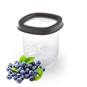 Ball Jar Plastic Freezer Jars 16-Ounces (2-Count)