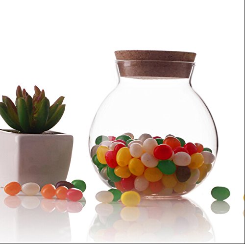 TOPWEL 500 Ml (17 Fl Oz) Round Clear Glass Favor Jar Storage Jar, with Cork Stopper