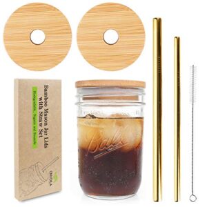 mason jar lids with straw hole, eco reusable bamboo mason jar lids for wide mouth mason jar with 2 reusable stainless steel straw - 2 lids &golden straw