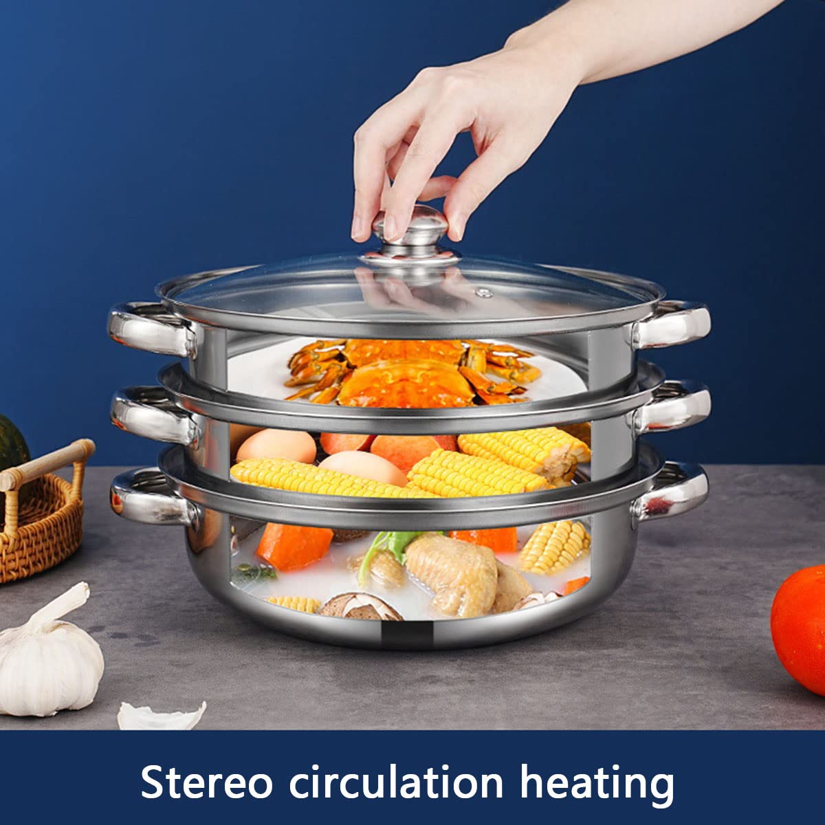 Steamer Pot for Cooking 11 inch, Steam Pots with Lid 2-tier Multipurpose Stainless Steel Steaming Pot Cookware with Handle for Vegetable