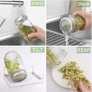 Seed Sprouting Jar Kit | 2 Wide Mouth Mason Jars & Stainless Steel Screen Lids,Tray,Stand and Canning Brush | Sprouter Set to Grow Broccoli, Alfalfa,Organic Microgreens Sprouts & Mung Bean (White)