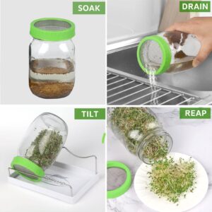 Sprouting Jar Kit (JARS NOT INCLUDED) - 4 Premium Plastic Sprout Lids with 316 Stainless Steel Screen for Wide Mouth Mason Jars, Tray, Sprouter Stand - Growing Broccoli Seeds, Alfalfa and more