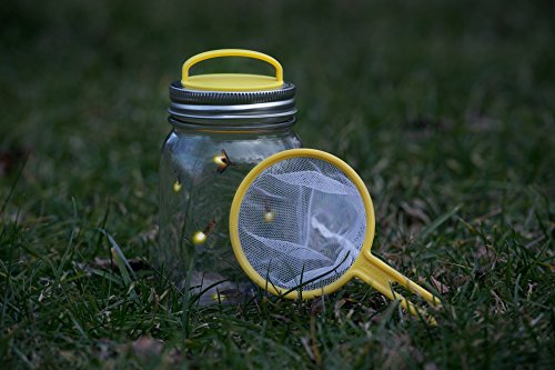 Jarware Firefly Catcher Kit for Regular Mouth Mason Jars, Yellow