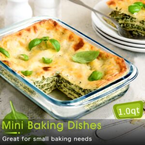 Mini-1 Quart Glass Baking Dish for Oven, 2 Pcs Single Serving Glass Pan for Cooking Oblong Casserole Dish Rectangular Baking Pan Glass Bakeware