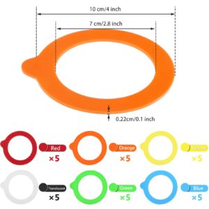 Silicone Jar Gaskets Replacement Reusable Silicone Seals Leak-proof Silicone Gasket Sealing Rings for Regular Mouth Canning Jars, 6 Colors (30 Pieces)