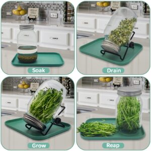 Guyemnat Sprouting Kit, 4 PCS Stainless Steel Sprouting Lids for Regular and Wide Mouth Mason Jars, 2 Sprouting Stands,Sprouting Tray,Label sticker,Sprouts Growing Kit (Not Include Mason Jar)