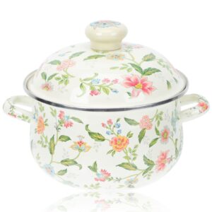 colorful enamel stock pot with lid double ear for cooking, 20x20cm, bmr0609a2s15l5
