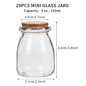 TAOUNOA 29 Pcs Small Glass Jars with Cork Lids, 5 oz Yogurt Jars Candle Jars Mini Glass Bottles Wedding Favor Jars Little Pudding Jars with String