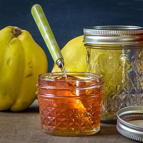 Waymind Set of 40 4oz Glass Jars With Silver Lids,Mason Jars,Glass Jars with lids,Ideal for Honey,Jam,Baby Foods,Wedding Favor