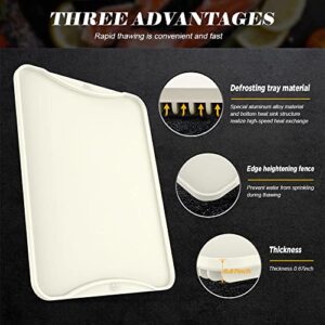 Defze Aluminum Alloy Defrosting Tray for Thawing Frozen Meat Rapid Thawing Plate Fast Thawing Tray Defrost Plate Board