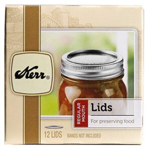 jarden home brands #00071 kerr 10 pack (12 per pack) can jar lid