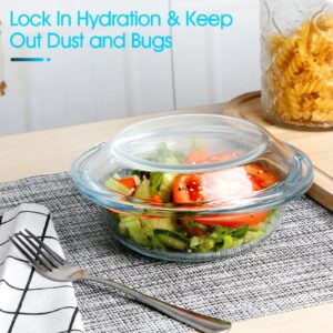 Mini-0.5 Liter Glass Casserole Dish With Glass Lid, Round Oven Safe Glass Bakeware with Handles, Microwave Oven Safe Glass Bowl with Lid