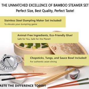 Bamboo Steamer for Cooking 10” -by DoSensePro Includes 2 Tiers, Stainless Steel Dumpling Maker, Liners, Ceramic Dish, and Bamboo Tongs. Dumpling Steamer Basket Cooker for Healthy Low-Fat Diet