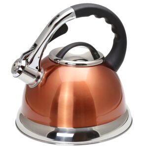 camille 3.0 quart stainless steel whistling tea kettle