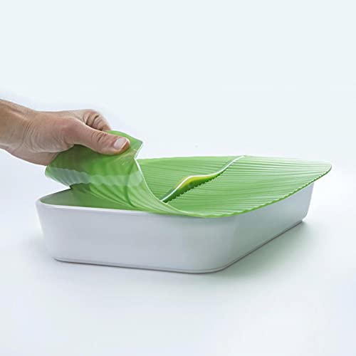 Charles Viancin Banana Leaf Lid - Square 10"x10"