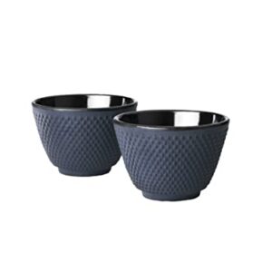 Bredemeijer Cast Iron Teacups Ceramic Lined Set of 2 Blue XILIN