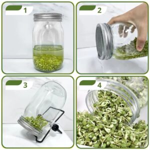 2PCS Sprouting Stands for Mason Jar – Sprouting Kit Stainless Steel Stand Kit for Sprouts Growing Kit 2 Mason Jar Holders for Wide and Regular Mouth Mason Jars